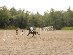 2014 Jubilæum 5 år